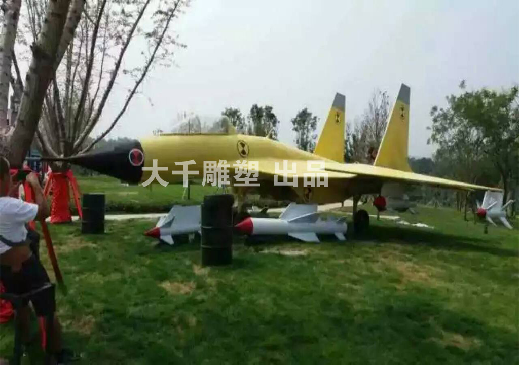 军事展览飞机：歼十五